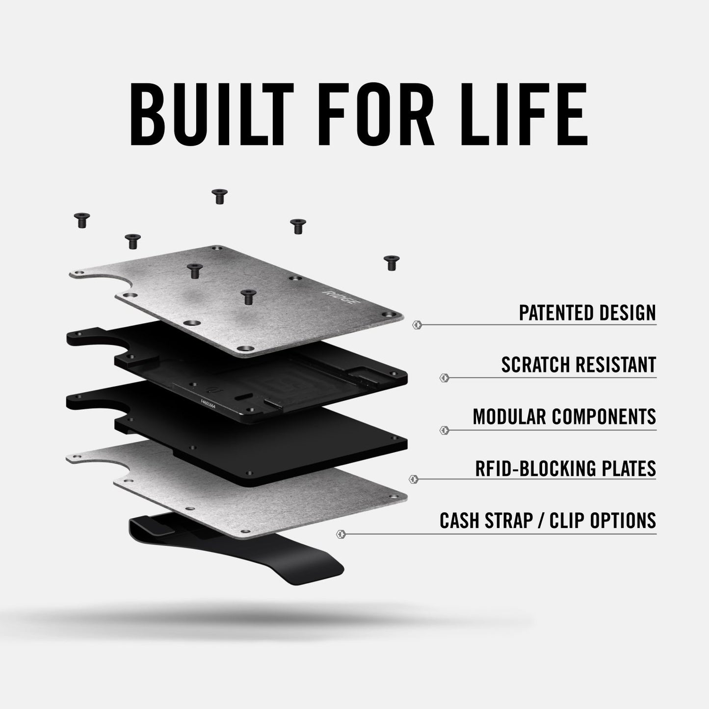 Daily Driver Kit - Detroit Lions - Carbon Fiber 3k